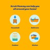 Scrub Daddy Scrub Mommy Special Edition Pets Cat - Scratch-Free