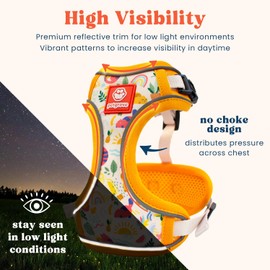 Petgrove Cat Harness and Leash Set for Walking, Escape Proof Vest Harnesses for Cats, Breathable Mesh with Reflective Strips - (Modern Cat), Small