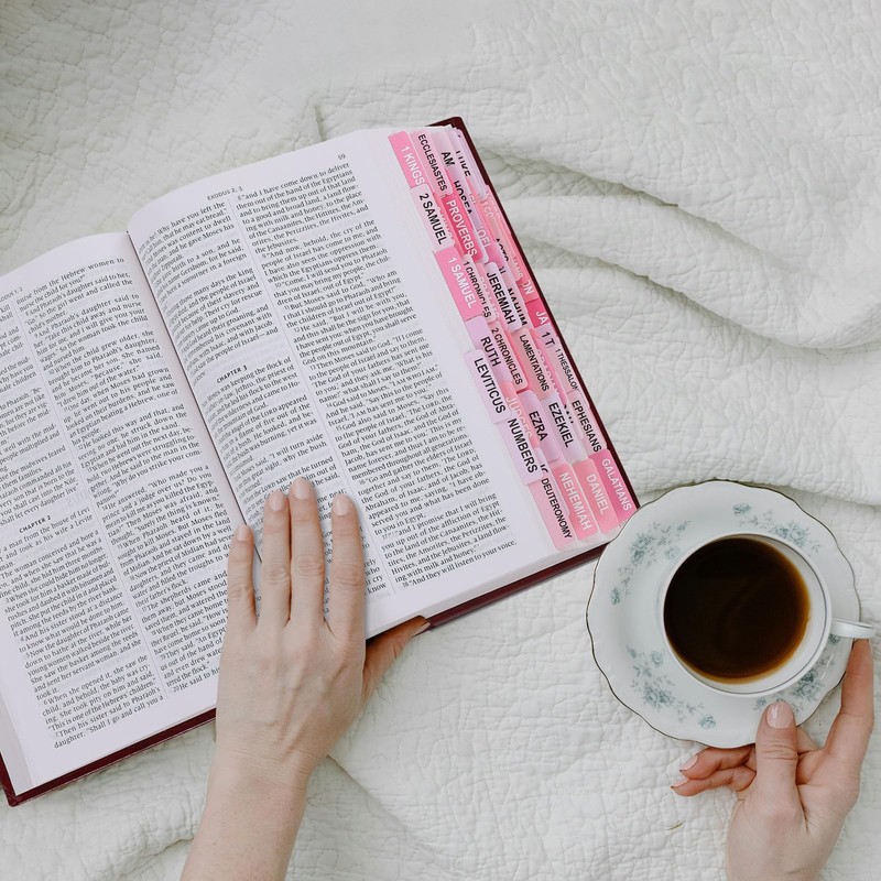 SKYDUE Bible Tabs - 100 Laminated Tabs for Women and