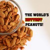 Peanuts from Hell - Ultimate Spicy Gourmet Gift Peanuts 7.25