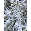 FRESH & WET California White Sage Cluster For Smudge (1LB)