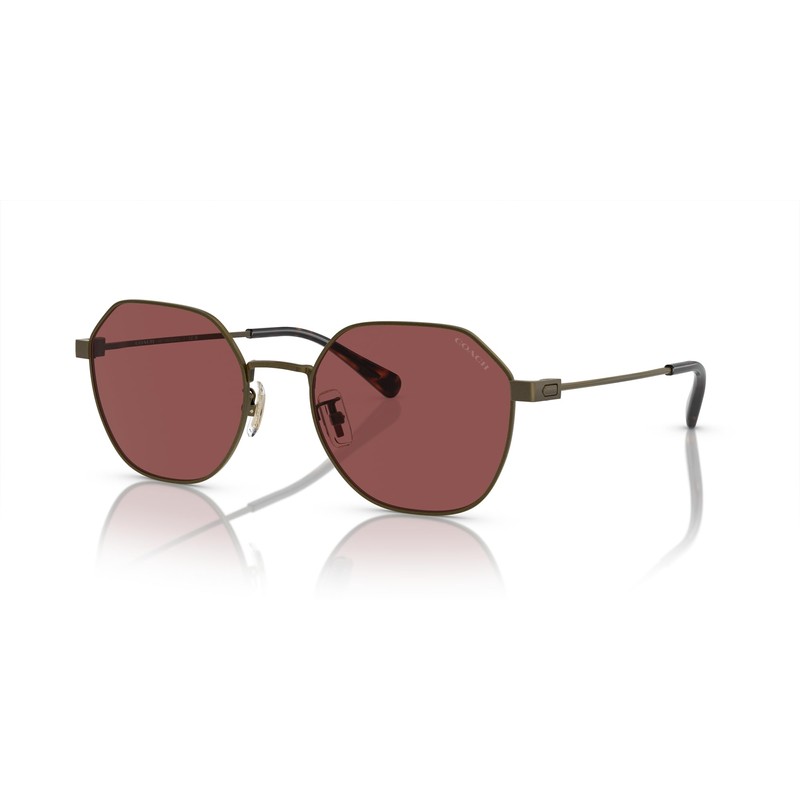 Coach HC7155 Sunglasses, Antique Gold/Wine Solid, 54 mm