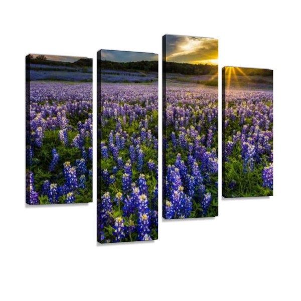 HIPOLOTUS 4 Panel Canvas Pictures texas bluebonnet field in sunset at muleshoe bend recreation area Wall Art Prints Paintings Stretched & Framed Poster Home Living Room Decoration Ready to Hang