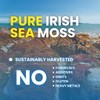 Nutra Guru Sea Moss - Non-GMO Organic Irish Sea Moss