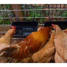 mozoba Hanging Chicken Feeder Trough for Goat Sheep Deer Poultry Duck Chicken Fence Feeder Livestock Feeding Container Goats Supplies Feeders Waterer Bucket