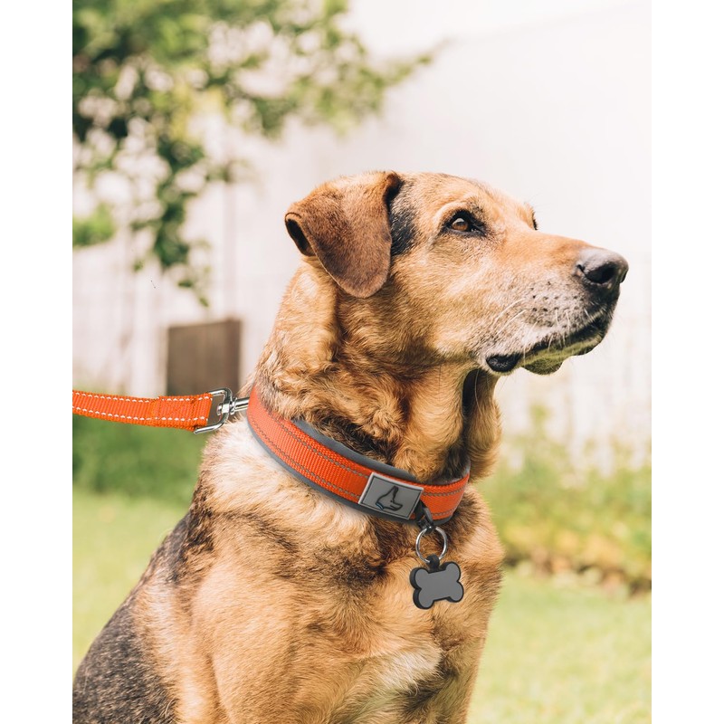 Joytale Reflective Dog Collar Extra Large Dogs | Ultra Comfy