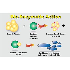 Zaps It Concentrate Natural Pet Odor Eliminator & Stain Remover (1 Gallon makes up to 32 gallons of solution!) Keep Pet urine/stains off carpets, rugs - Use in outdoor potty areas (1 Gallon, 128 oz)