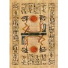 Egyptian Gods Oracle Cards: 36 full col cards & instructions