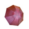 Birsppy Wine Bottle Shaped Foldable Umbrella, Burgundy