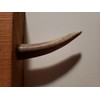 Real Antler Tip Wall Hooks Screw into Wood or Drywall