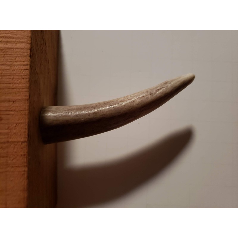 Real Antler Tip Wall Hooks Screw into Wood or Drywall