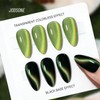 16.5 mL 9D Chameleon Cat Eye Gel Polish with Magnet,