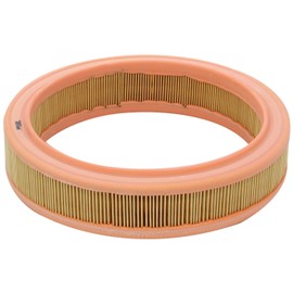 Valeo 585620 Air Filter