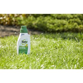 Roundup For Lawns2 Concentrate (Northern) - 32 oz., Lawn Safe Weed Killer For Northern Lawns, Kills Crabgrass, Dandelion, Clover & Yellow Nutsedge, Starts Working Immediately