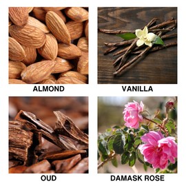 De Lumique Golden Oud Reed Diffuser – Room Scent Diffuser with Almond, Vanilla, Oud & Damask Rose – Long Lasting Home Fragrance Diffuser – Alcohol-Free Aromatherapy for Every Room – 150ml