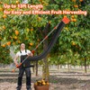 13Ft Professional Fruit Picker with Collection Funnel and Bag -