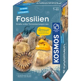 Kosmos Fossil Digging Kit, Digging Real Fossils and Amber Itself with Hammer and Chisel, Experiment Set for Children From 7 years., Green