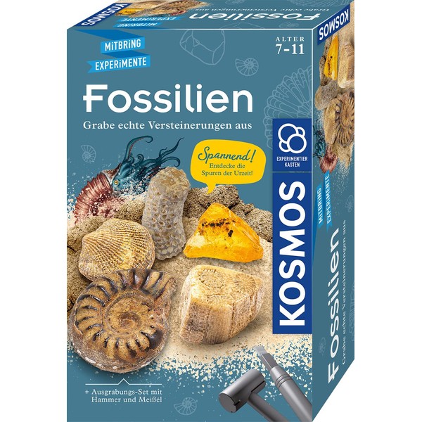 Kosmos Fossil Digging Kit, Digging Real Fossils and Amber Itself