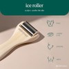 EcoTools Stainless Steel Ice Roller for Face and Neck