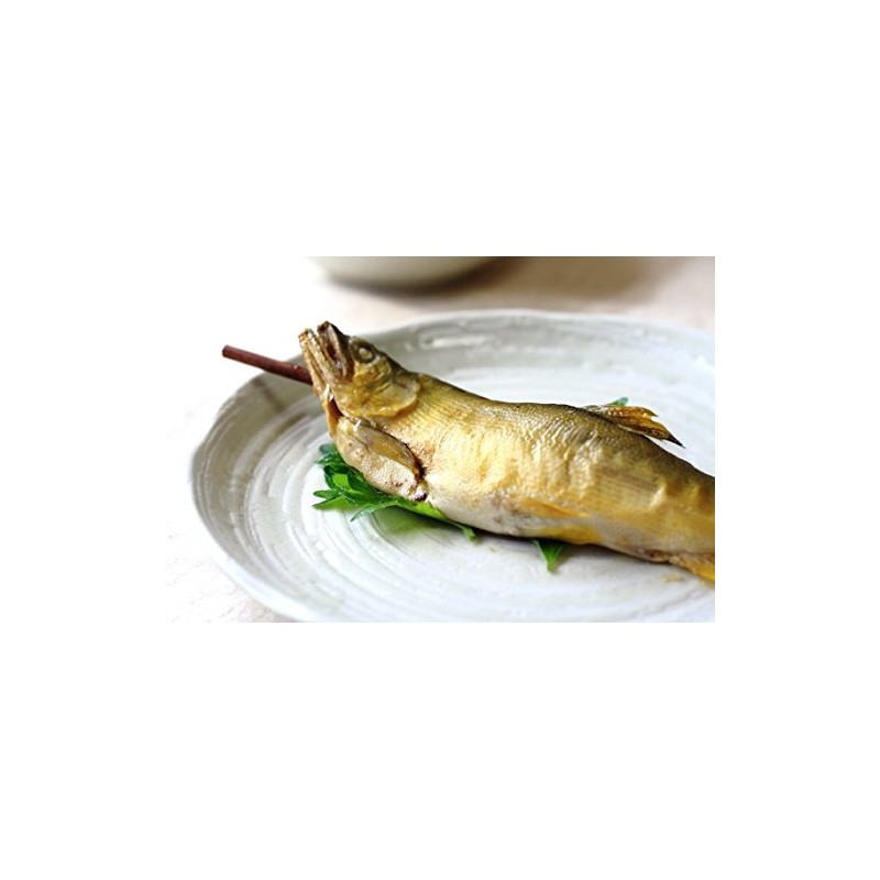 吉祥 Powder Pull 21.5 cm Dinner Plate