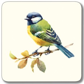 Garden Birds Melamine Coasters - Mixed Set 2, Pack of 6
