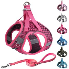 AIITLE Dog Harness with Leash Set - All Weather Breathable Mesh, Reflective Stripes, Adjustable Escape Proof Pet Outdoor Harnesses for Medium Dogs Hot Pink M