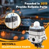 Carburetor Lawn Mower Carb with Tune Up Kit Fit for