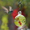 Parasol Droplet Glass Hummingbird Feeder