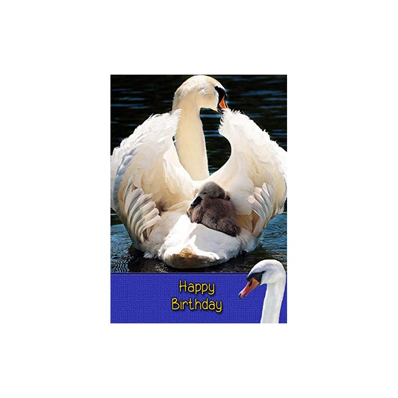 Swan Bird Birthday Card