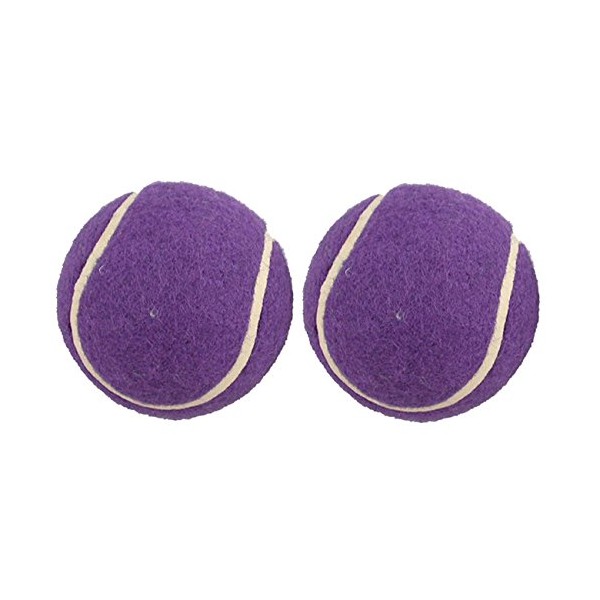 Penco Medical Walkerballs - The Original Walkerballs – 1 Pair of Purple