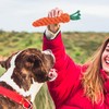 Carrot Dog Toy, Calming Teether, Chew Cleaning Rope Interactive Enrichment