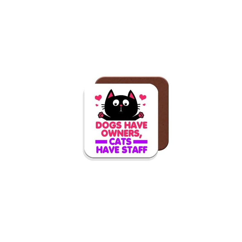 Funny Cat Coaster Gift for Cat Owners - Giftset -