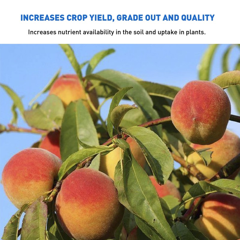 Azomite Organic Micronized Mineral Fertilizer Trace 0-0.2, 5 Lbs