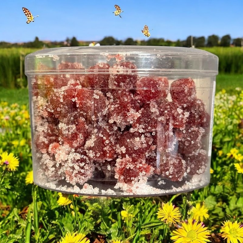 Dried Fruit Snack Group (COMBO, DRIED KUMQUAT)