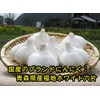 ファイン 卵黄にんにく 卵黄油 にんにくエキス プラセンタ配合 国内生産 (1日2～6粒/120粒入)×2個セット