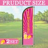 Remagr 2 Pcs Lemonade Sign Feather Flag for Business 12