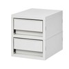 Mini 2-Tier Drawer Storage Organizer Organizer