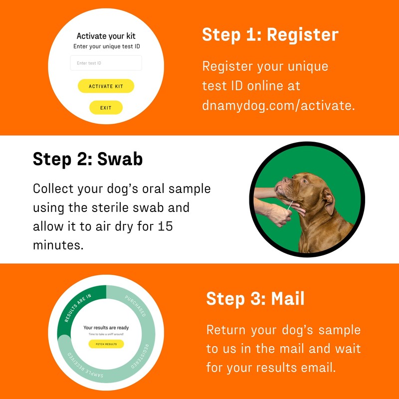 DNA MY DOG - Premium Test – Trusted & Affordable