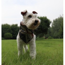RUTH&BOAZ Wool Blend Ethnic Inca Pattern Snap On Dog Bandanas (Q-Navy,M)