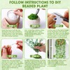 MROUEN 4074 Pcs Green Glass Beaded Plant DIY Kit –