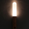 LED Motion Sensor Night Light Brightness Adjustable Portable USB Rechargeable