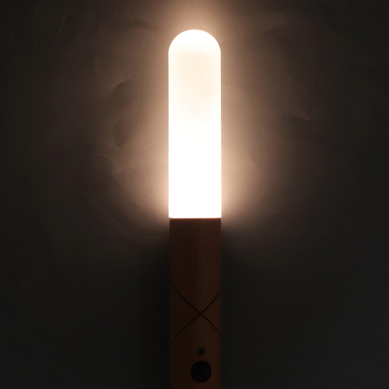 LED Motion Sensor Night Light Brightness Adjustable Portable USB Rechargeable