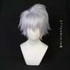 SUNXXCOS NARUTO Cosplay Wig, Heat Resistant, Wig, Costume Accessory (Kakakashi)