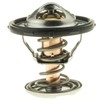 Thermostat-160 Degrees w/Seal
