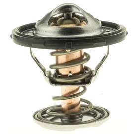 Thermostat-160 Degrees w/Seal