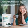 Chlorella Powder Natural with 16 oz - Chlorophyll Powder, Supports