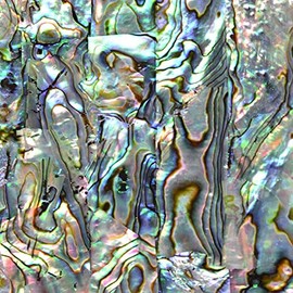 Paua Abalone Sheets Inlay Supplies for Jewelers, Turners, Woodworkers, Luthiers, Professionals & Hobbyists (Paua Natural)