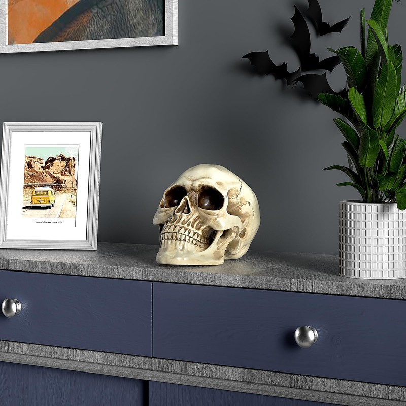 READAEER Resin Skull, Human Head Model for Home Decoration, Halloween