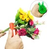 Woohome 5 PCS Garden Pruning Shears Scissors Kit, Rose Stripper