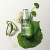 Calming Dragon Cica Ampoule 30ml, 2 pcs / 카밍 드래곤
